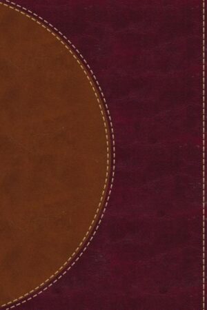 9780310450238 Amplified Reading Bible